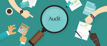 Audit and Auditors of banking company