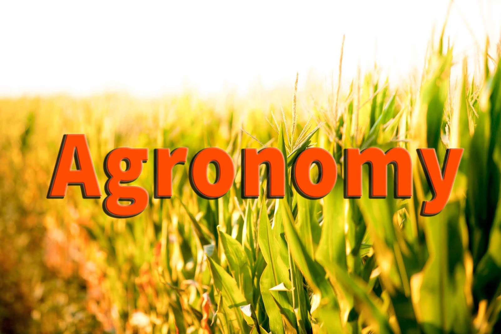 recent research topics in agronomy