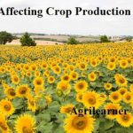 factors affecting crop production