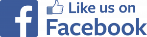 like us on facebook papertyari